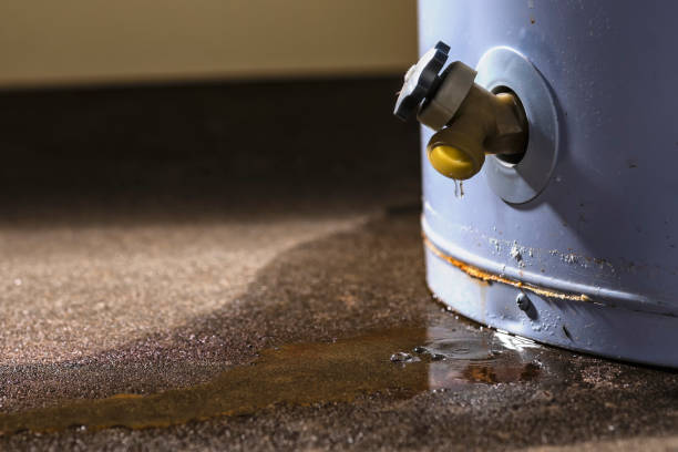 Trusted Cross Plains, TX Water damage restoration Experts