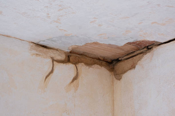 Best Local water damage restoration  in Cross Plains, TX