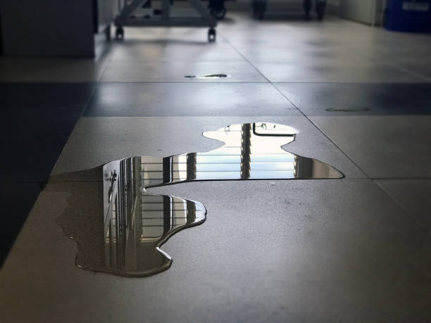 Best Professional water damage repair  in Cross Plains, TX