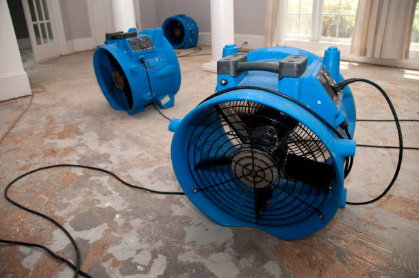 Best 24-hour water damage restoration  in Cross Plains, TX
