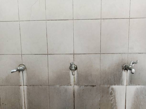 Best Emergency water damage restoration  in Cross Plains, TX