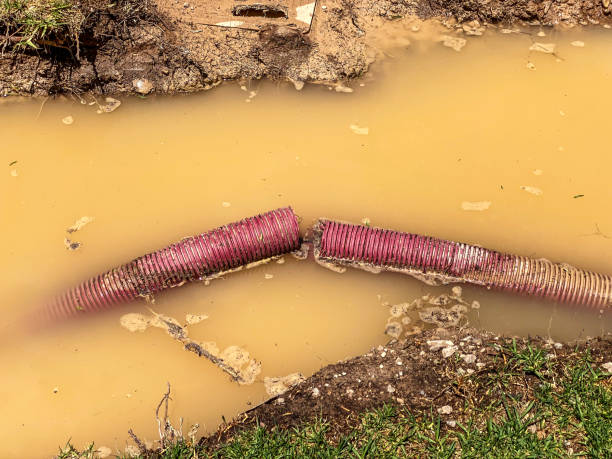 Best Mold removal after water damage  in Cross Plains, TX