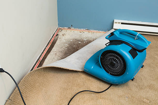 Best Local water damage restoration  in Cross Plains, TX